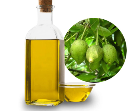 mahua oil , ilippai oil